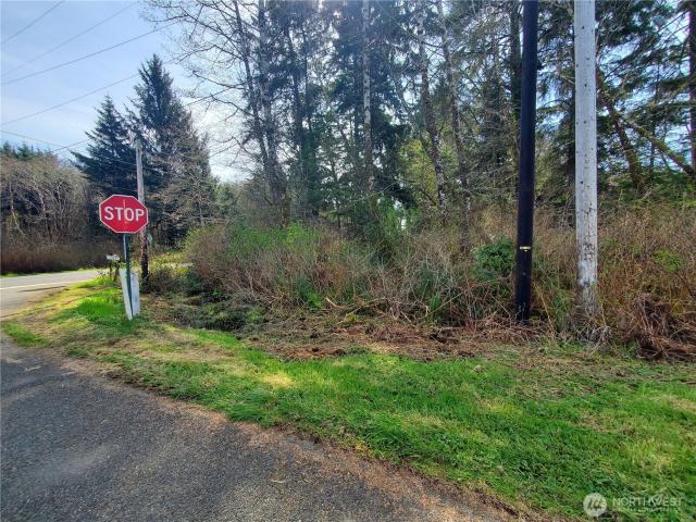 Land for sale in Copalis Beach, Washington
