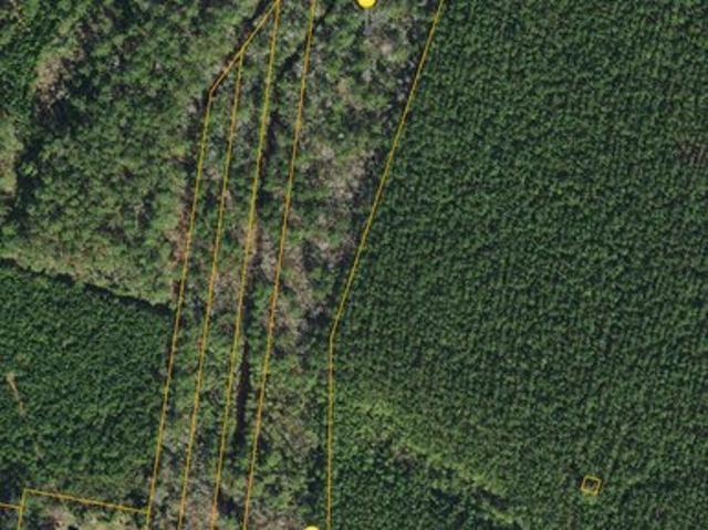 Land for sale in Belhaven, Beaufort County