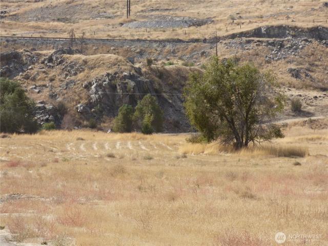 Land for sale in Bridgeport, Washington