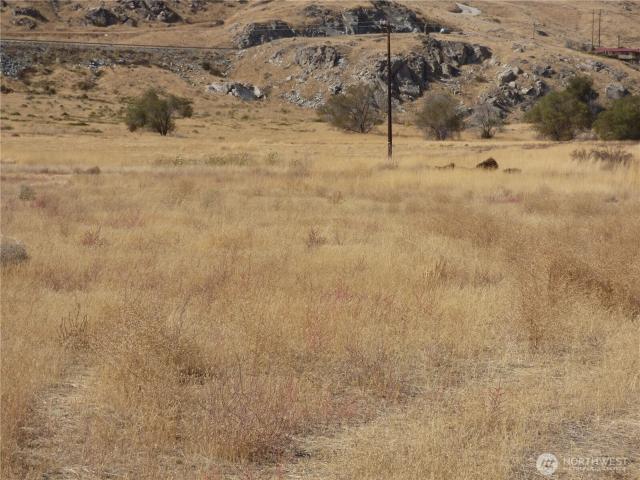 Land for sale in Bridgeport, Washington