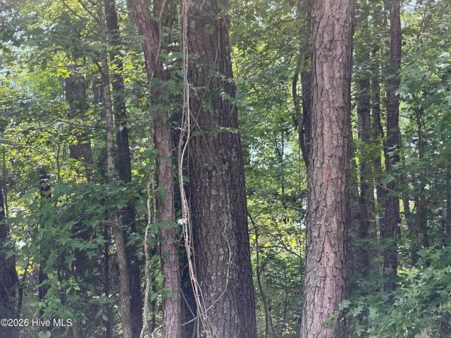 Land for sale in Aurora, North Carolina