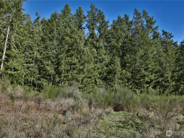 Land for sale in Langley, Washington