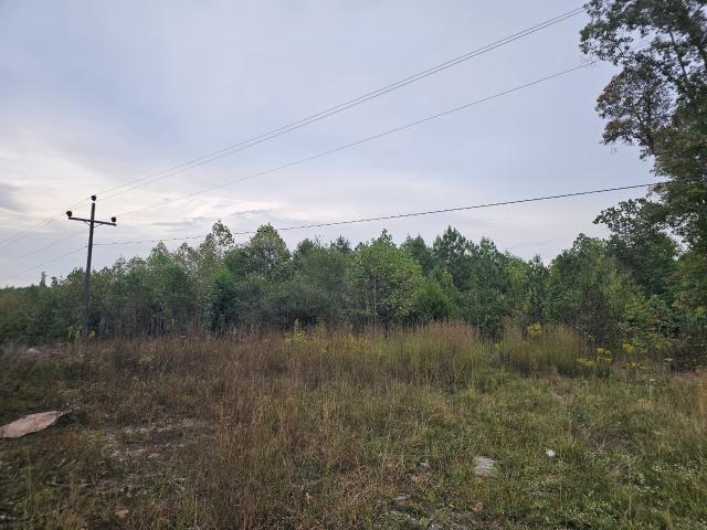 Land for sale in Sweeton Hill, Coalmont