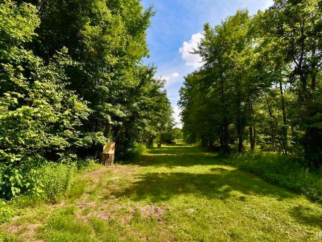 Land for sale in Elberfeld, Indiana