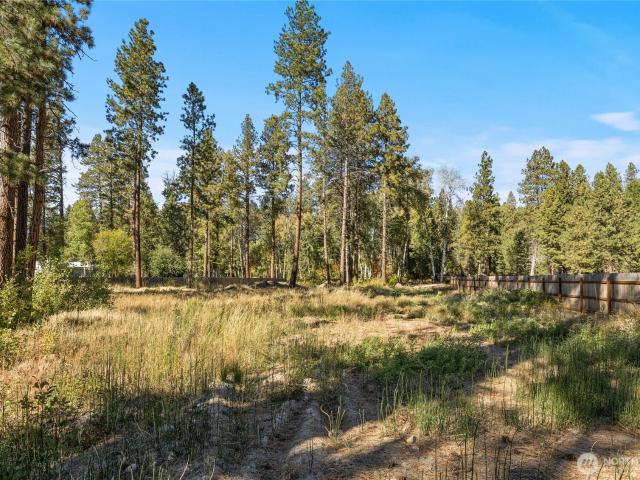 Land for sale in Teanaway, Cle Elum