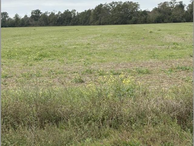 Land for sale in Summerdale, Alabama