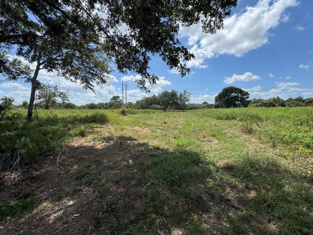 Land for sale in Altair, Texas