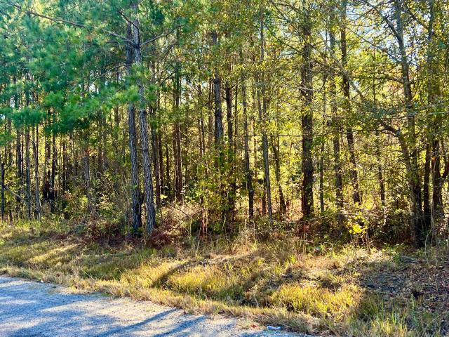 Land for sale in South Carolina