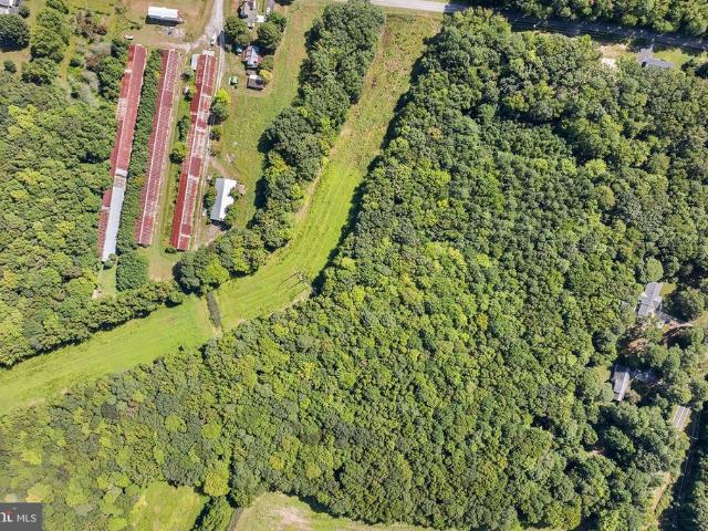 Land for sale in Holiday Harbor, Bishopville
