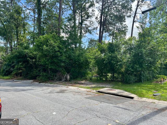 Land for sale in Waycross, Georgia