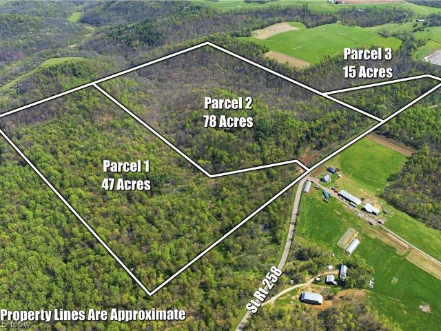 Land for sale in Guernsey, Ohio