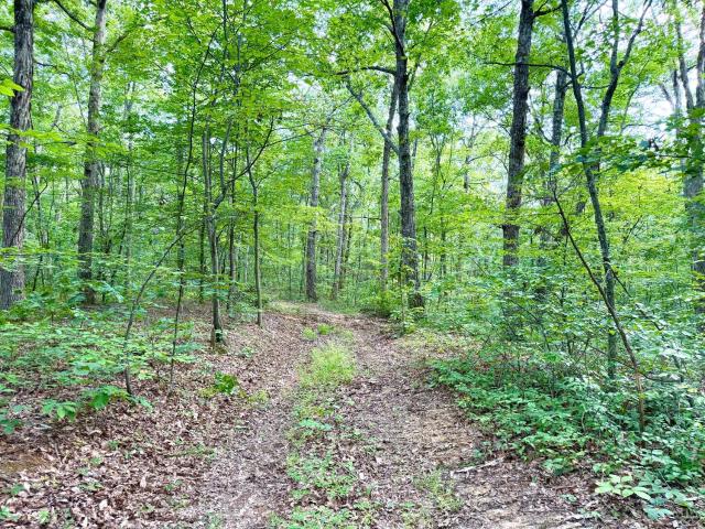 Land for sale in Peebles, Ohio