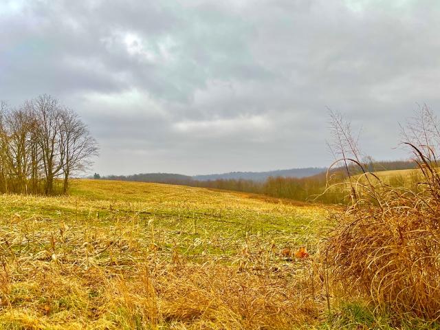 Land for sale in Piketon, Ohio