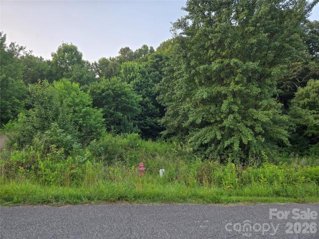 Land for sale in Hiddenite, North Carolina