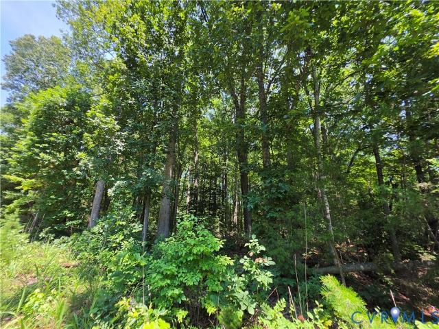Land for sale in Columbia, Fluvanna County