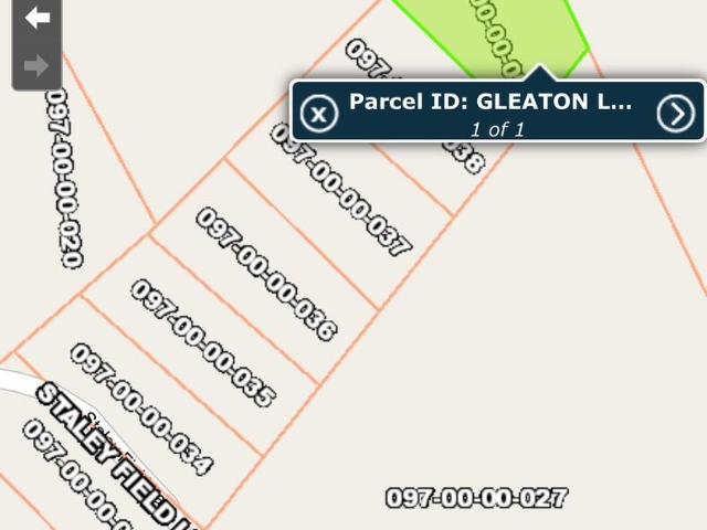 Land for sale in Saint Matthews, South Carolina
