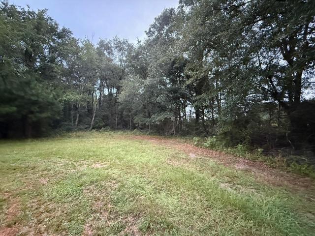 Land for sale in Saint Matthews, South Carolina