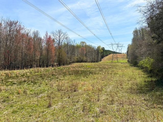 Land for sale in Haddock, Georgia