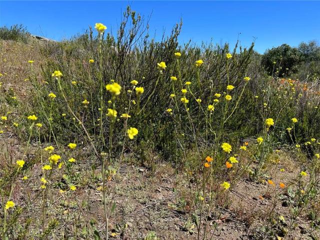Land for sale in Hemet, California
