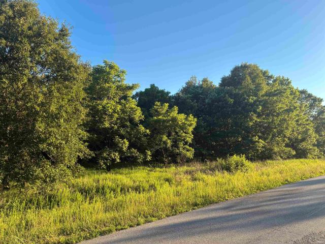Land for sale in Elberfeld, Indiana