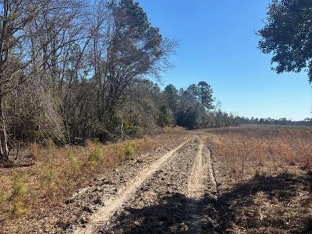 Land for sale in Lyons, Georgia