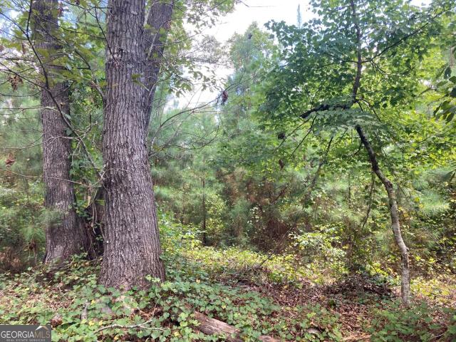 Land for sale in Jackson, Georgia