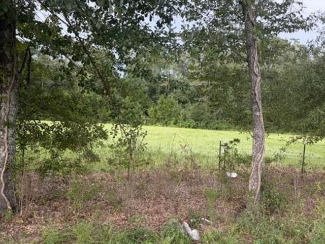 Land for sale in Geneva, Alabama