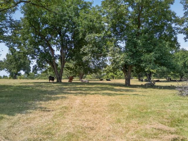 Land for sale in Frankston, Texas