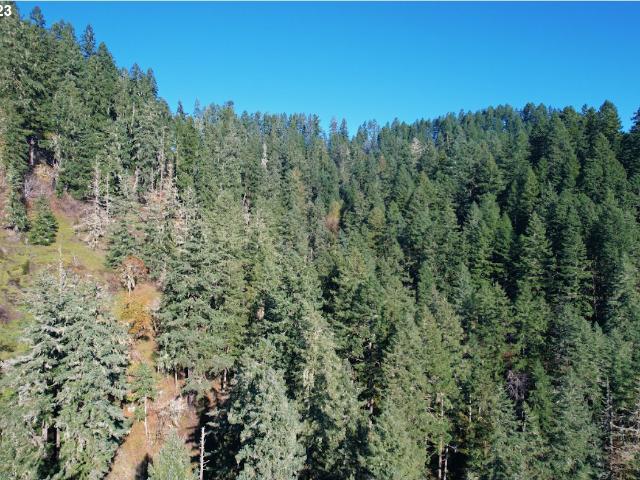 Land for sale in Oregonia