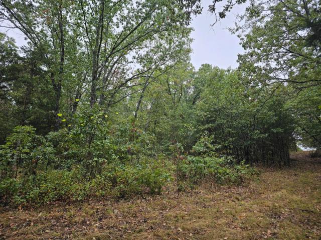 Land for sale in Taney County, Missouri