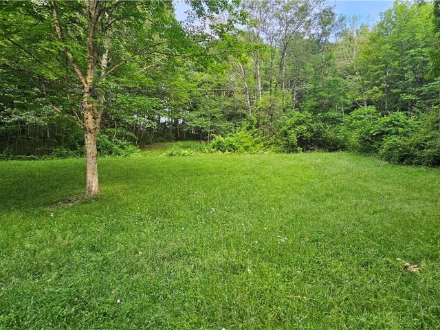 Land for sale in Deposit, New York
