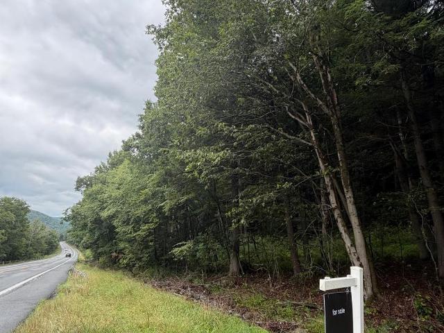 Land for sale in East Branch, New York