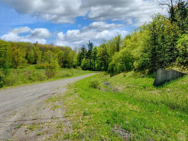 Land for sale in Andes, New York