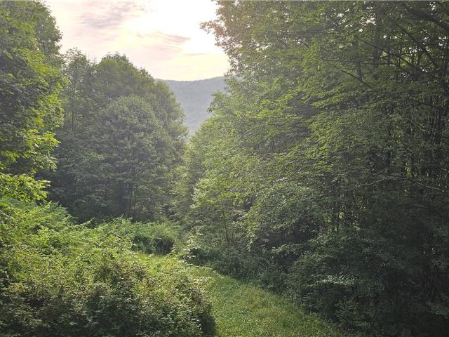 Property for sale in Deposit, New York