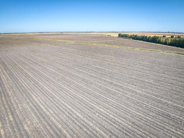 Land for sale in Walnut Grove, California