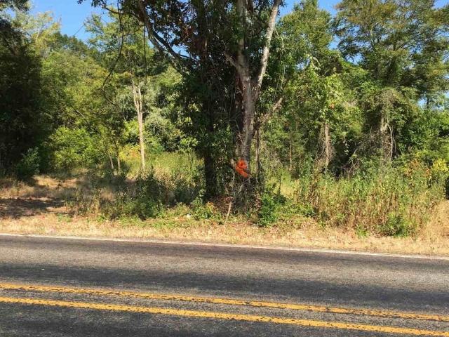 Land for sale in Elkhart, Texas