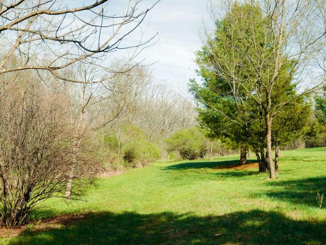 Land for sale in Viroqua, Wisconsin