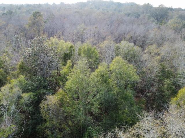 Land for sale in Five Points, Slocomb