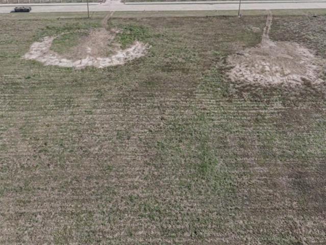 Land for sale in Alvin, Texas