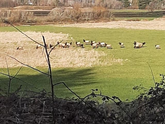 Land for sale in East Raymond, Raymond