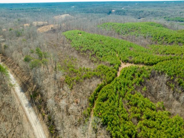 Land for sale in Tennessee