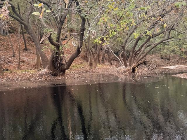 Land for sale in Georgia