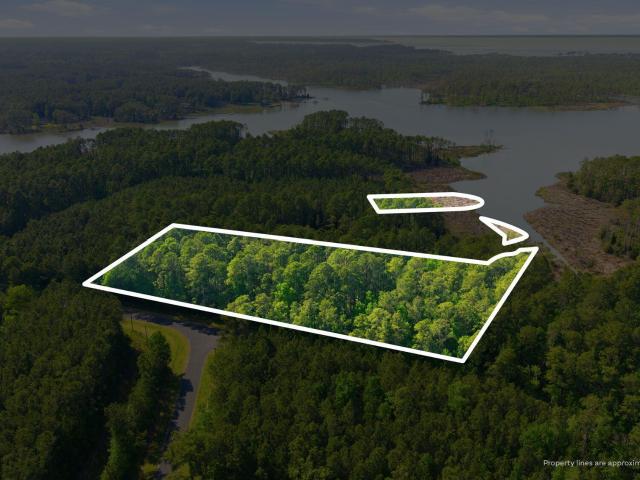 Land for sale in Aurora, North Carolina