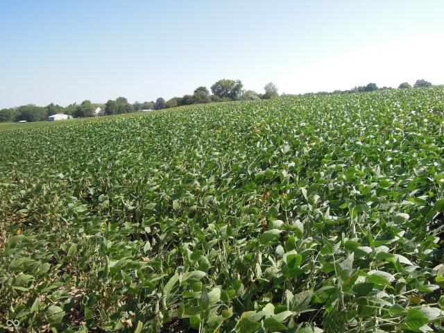 Land for sale in Indiana