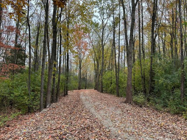 Land for sale in Clayton, Indiana