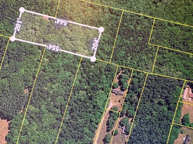 Land for sale in Eutawville, South Carolina