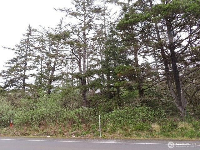 Land for sale in Grayland, Washington