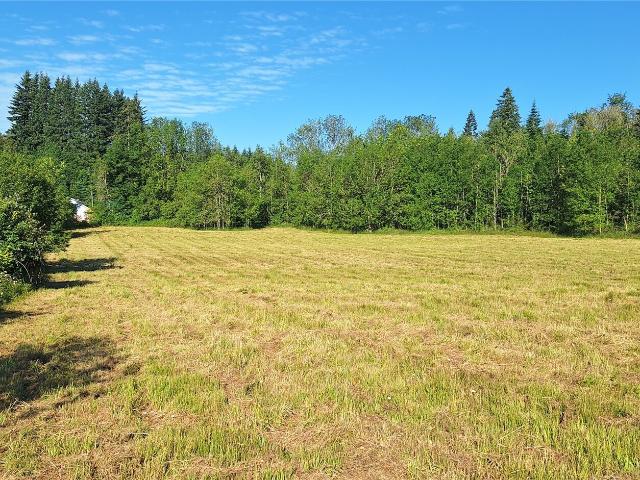 Land for sale in Mossyrock, Washington