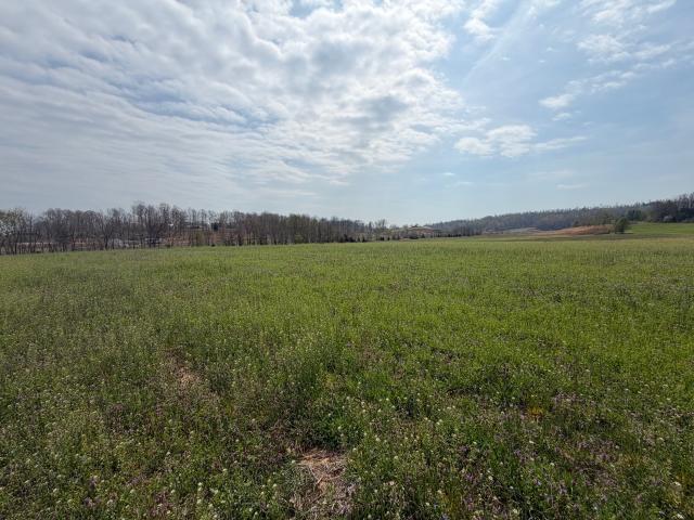 Land for sale in Drakesboro, Kentucky