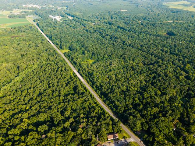 Land for sale in Montezuma, Georgia